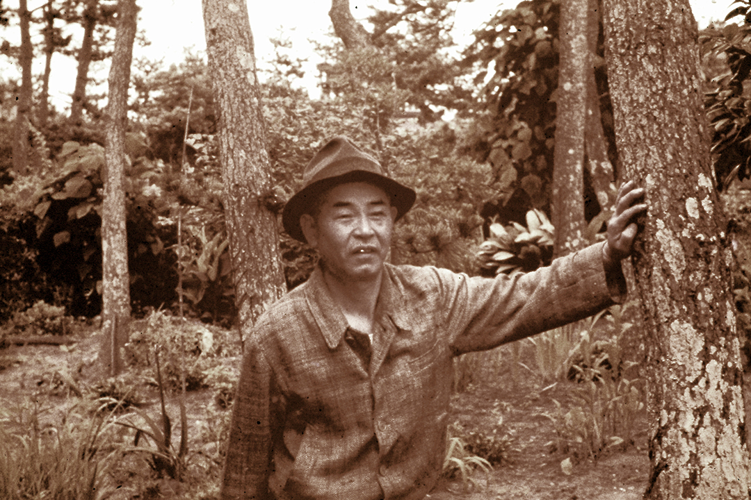 Japan 1954