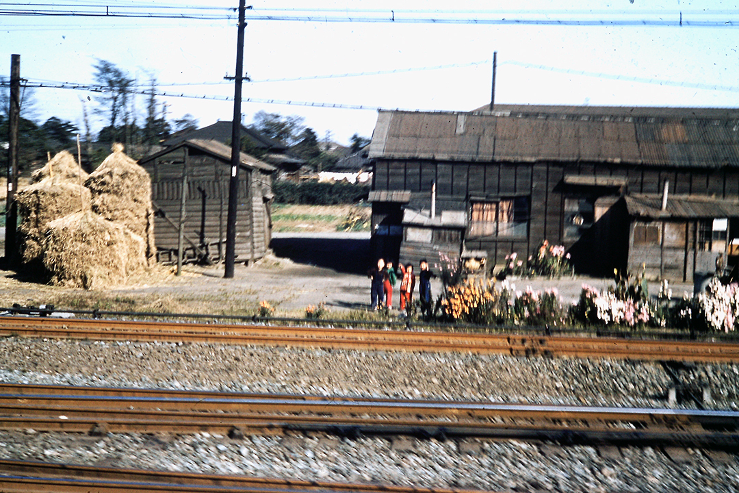 Japan 1954